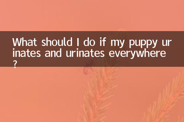 小狗随处大小便怎么办