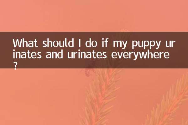 আমার কুকুরছানা যদি সর্বত্র প্রস্রাব করে এবং প্রস্রাব করে তবে আমার কী করা উচিত?