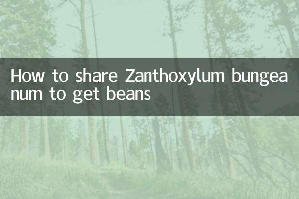 چگونه Zanthoxylum bungeanum را برای به دست آوردن لوبیا به اشتراک بگذارید