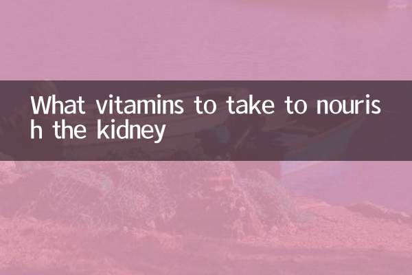 What vitamins to take to nourish the kidney