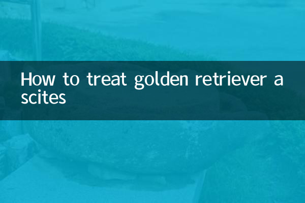 Wie man Golden Retriever Ascites behandelt