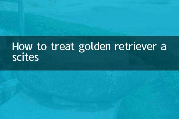 How to treat golden retriever ascites