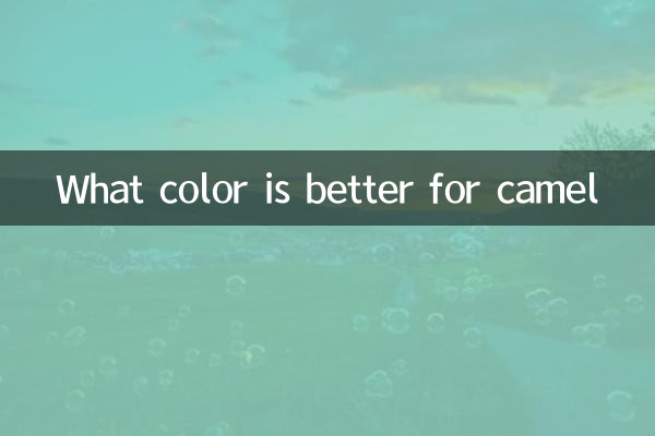 Welche Farbe ist besser für Kamel