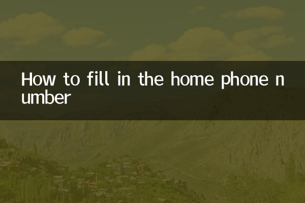 How to fill in the home phone number