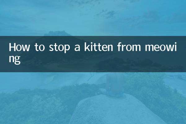 How to stop a kitten from meowing