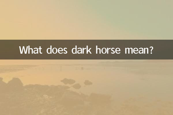 Cosa significa cavallo oscuro?