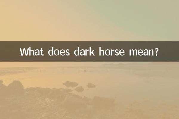 Cosa significa cavallo oscuro?