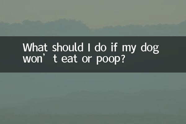 ماذا علي أن أفعل إذا كان كلبي لا يأكل أو يتبرز؟