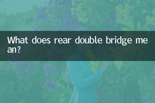 What does rear double bridge mean?
