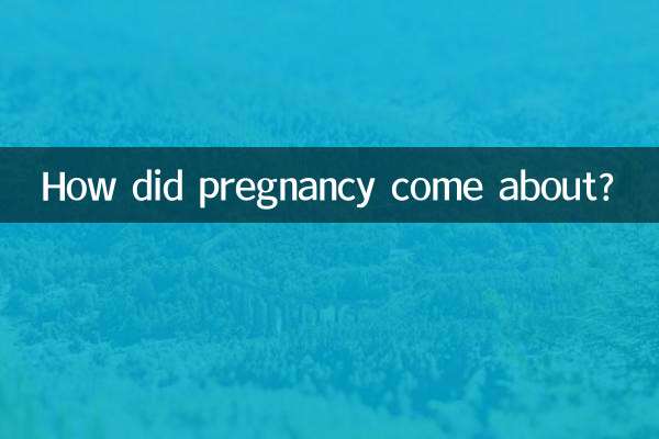 怀孕是怎么来的