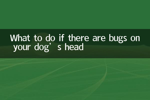 강아지 머리에 벌레가 생기면 어떻게 해야 할까요?
