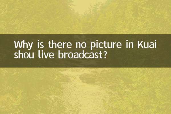 Warum gibt es in der Live-Übertragung von Kuaishou kein Bild?