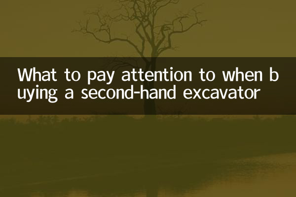 সেকেন্ড-হ্যান্ড এক্সকাভেটর কেনার সময় কী মনোযোগ দিতে হবে