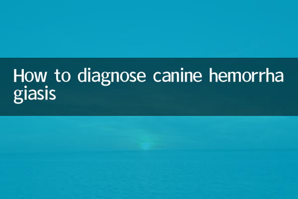 Cómo diagnosticar la hemorragia canina