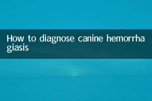 犬の出血を診断する方法