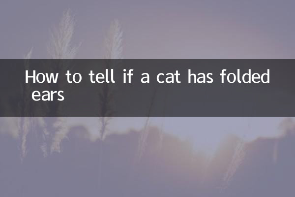 How to tell if a cat has folded ears