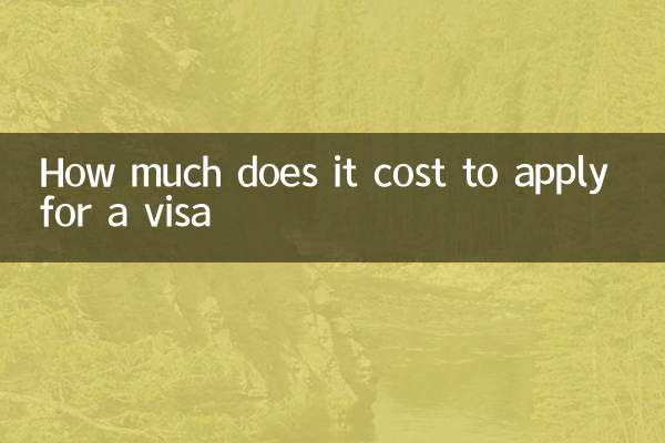 Wie viel kostet die Beantragung eines Visums?
