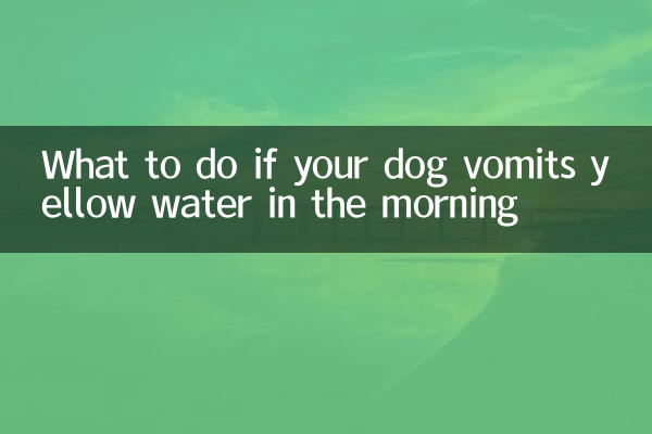 O que fazer se seu cachorro vomitar água amarela pela manhã
