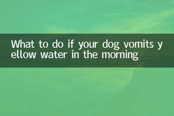 اگر سگ شما صبح ها آب زرد را استفراغ کرد چه باید کرد؟