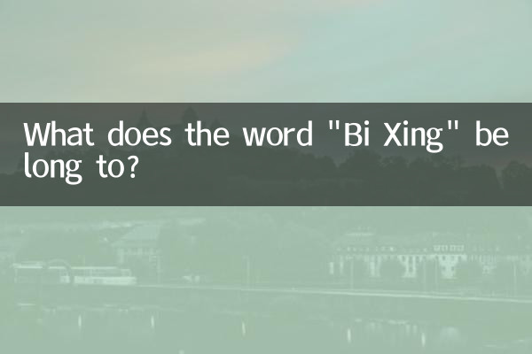 إلى ماذا تنتمي كلمة