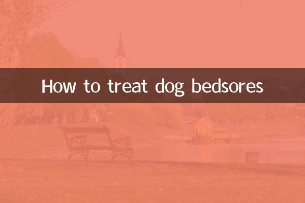 犬の床ずれの治療方法