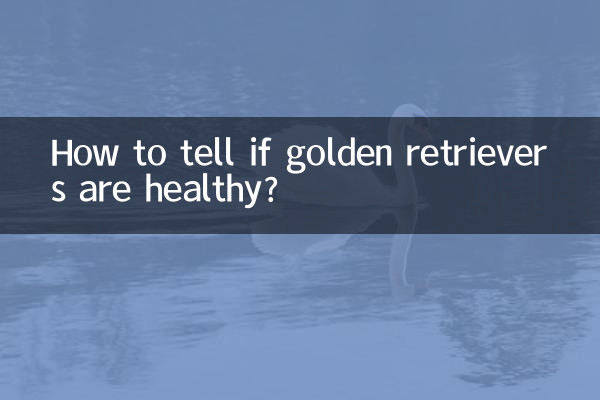 اگر گولڈن ریٹریور صحت مند ہیں تو کیسے بتائیں؟