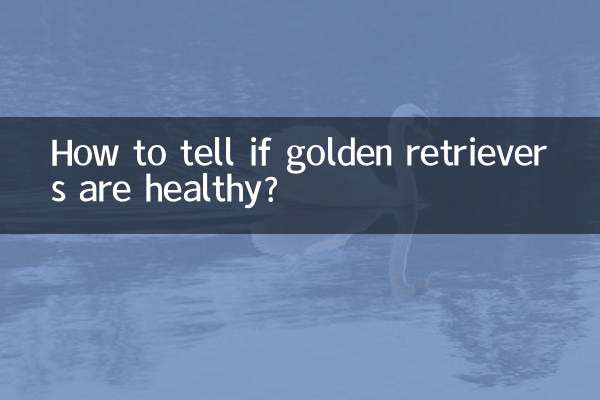 اگر گولڈن ریٹریور صحت مند ہیں تو کیسے بتائیں؟