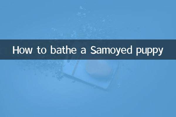 نحوه حمام کردن توله سگ ساموید