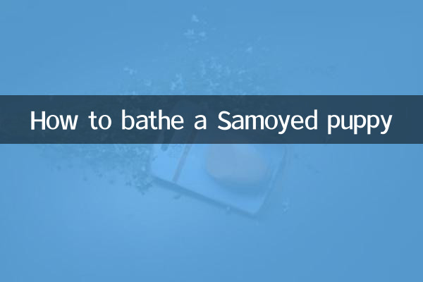 نحوه حمام کردن توله سگ ساموید