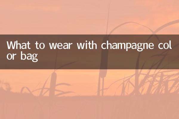 শ্যাম্পেন রঙের ব্যাগের সাথে কী পরবেন