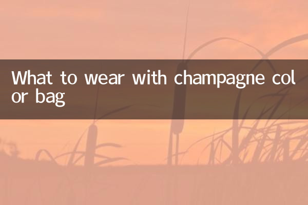 শ্যাম্পেন রঙের ব্যাগের সাথে কী পরবেন