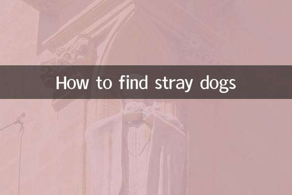 길 잃은 개를 찾는 방법