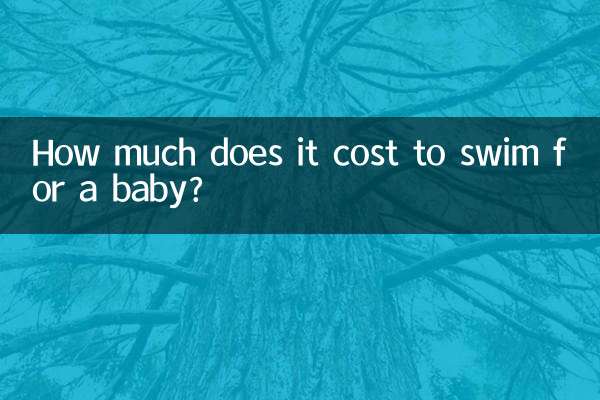 아기 수영 비용은 얼마입니까?
