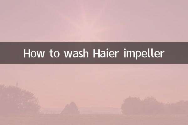 ハイアールインペラの洗い方