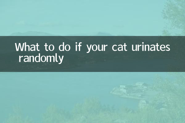 আপনার বিড়াল এলোমেলোভাবে প্রস্রাব করলে কি করবেন