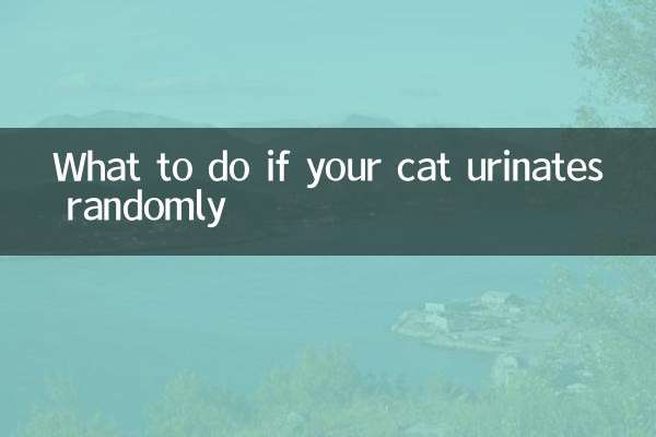 আপনার বিড়াল এলোমেলোভাবে প্রস্রাব করলে কি করবেন