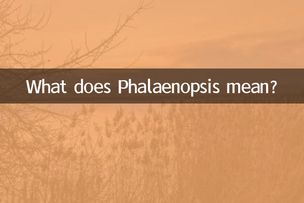 ماذا يعني فالاينوبسيس؟