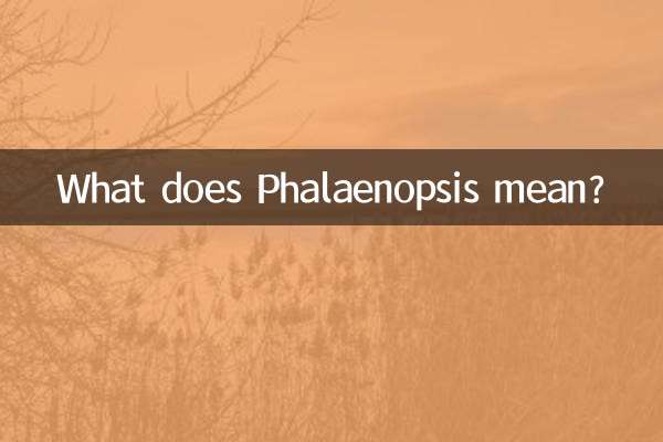 蝴蝶兰寓意是什么