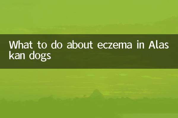 O que fazer com eczema em cães do Alasca