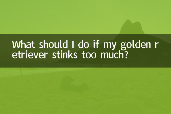 金毛太臭了怎麼辦