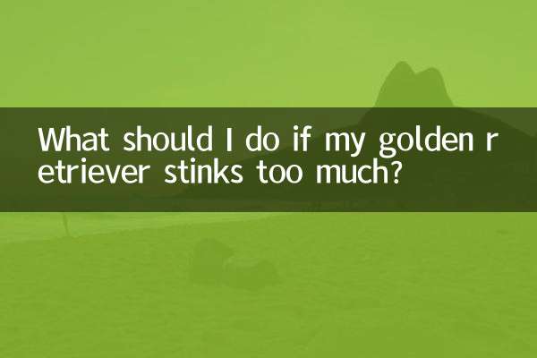 金毛太臭了怎麼辦