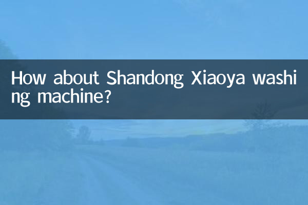ماذا عن غسالة شاندونغ Xiaoya؟