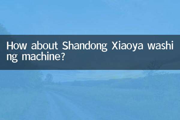Shandong Xiaoya 세탁기는 어떻습니까?