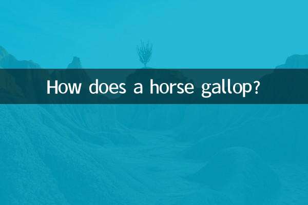 馬はどのようにして疾走するのでしょうか？