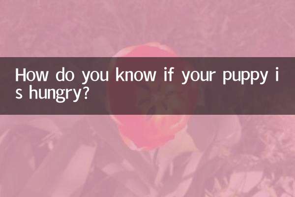 How do you know if your puppy is hungry?