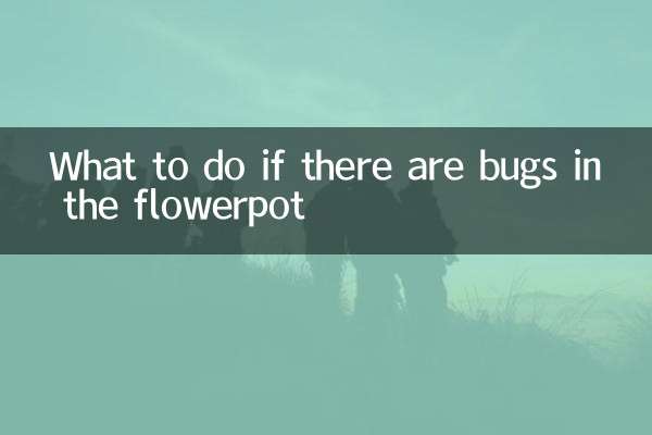 花盆里有小虫子怎么办