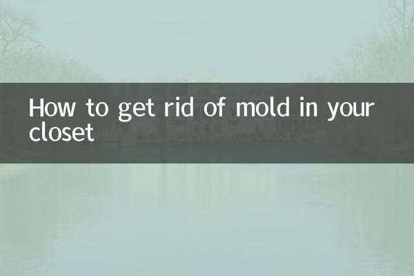 Como se livrar do mofo no seu armário