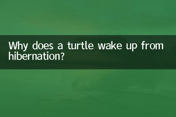 কেন একটি কচ্ছপ হাইবারনেশন থেকে জেগে ওঠে?