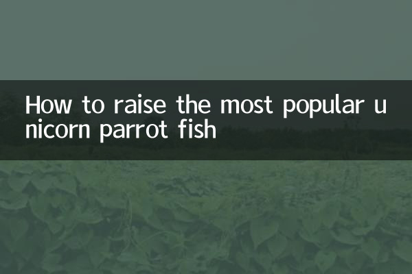 麒麟鸚鵡魚怎麼養最紅