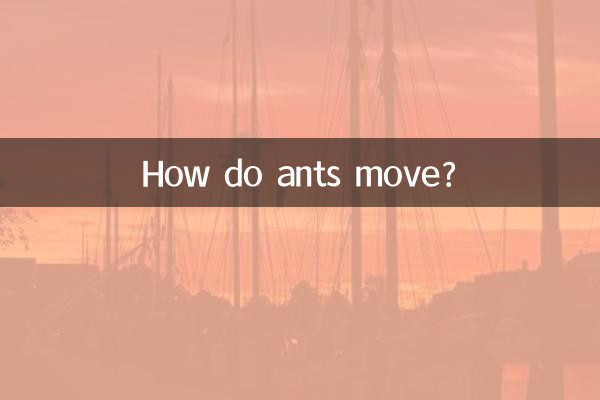 How do ants move?